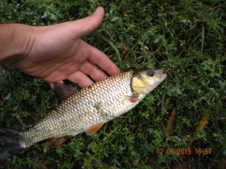 DSCN6581.JPG