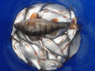 20160309_170418.jpg