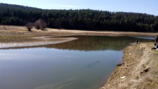 IMG_20160305_125709.jpg