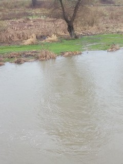 IMG_20160310_153457.jpg