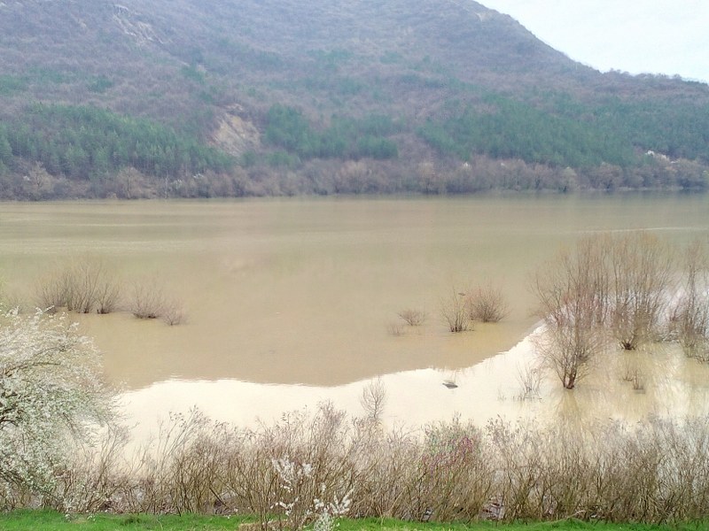 Picture 011_800x600.jpg