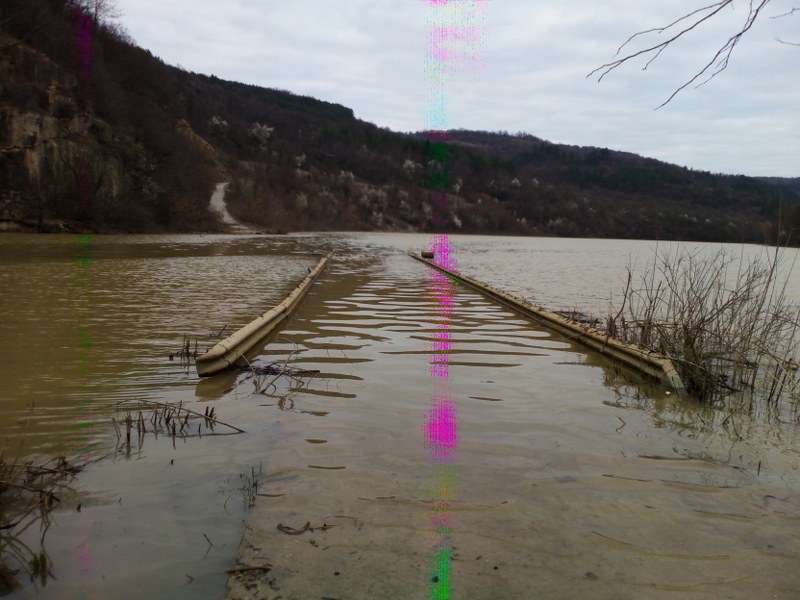 Picture 012_800x600.jpg