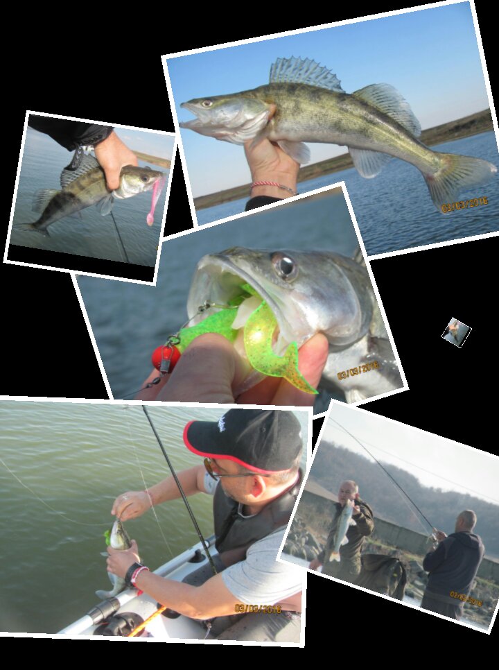 PhotoCollage_163422263.jpg