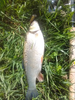 IMG_20160404_103948.jpg