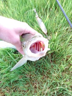 IMG_20160412_075643.jpg