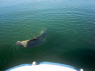 20160407_093508.jpg