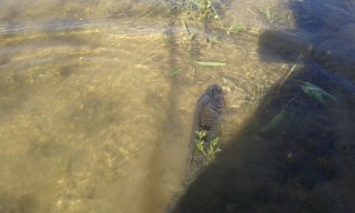20160430_165846.jpg