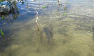 20160430_165851.jpg