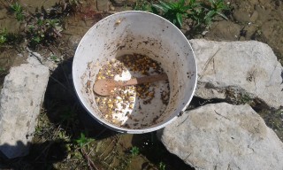 20160430_120139.jpg