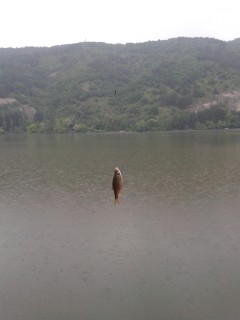 20160520_193525.jpg