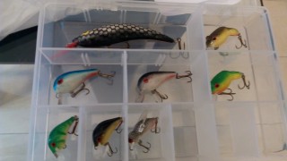 IMG_20160521_173801.jpg