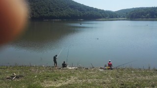 IMG-1464507600470-V.jpg