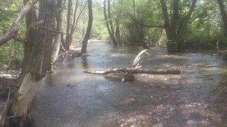 IMG_20160530_133456.jpg