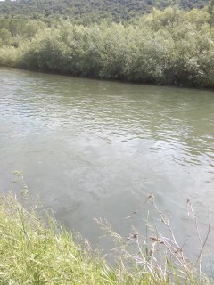IMG_20160602_151442.jpg