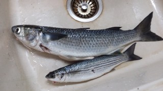 20160605_210622.jpg