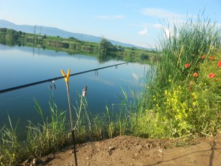 20160604_080337.jpg