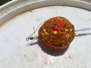 20160604_130337.jpg