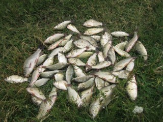 IMG_3351.JPG
