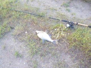 IMG_20160617_070827.jpg