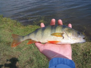 IMG_20160612_103731.jpg
