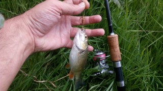 IMG_20160623_144029.jpg
