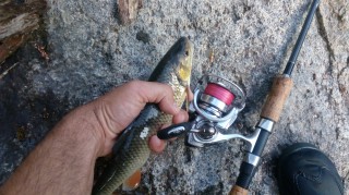 IMG_20160625_195136.jpg