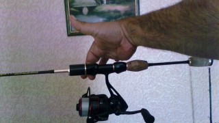 IMG_20160709_113608.jpg