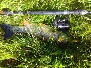 IMG_20160708_092123.jpg