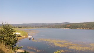 IMG_20160714_102531.jpg