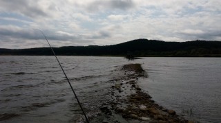 IMG_20160717_110529.jpg