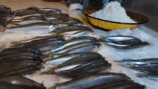IMG_20160715_184955.jpg