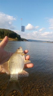 IMG_20160718_184242.jpg