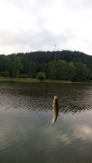 IMG_20160719_074215.jpg