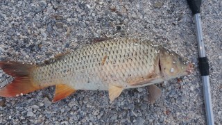 20160719_083653.jpg