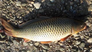 20160714_184134.jpg