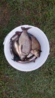 IMG_20160719_080249.jpg