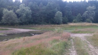 IMG_20160720_120927.jpg