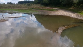 IMG_20160720_120640.jpg