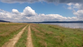IMG_20160720_122256.jpg