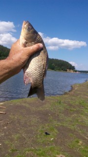 IMG_20160721_160219.jpg
