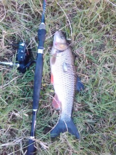 IMG_20160721_204931.jpg