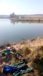 IMG_20160723_102127.jpg