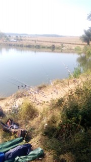 IMG_20160723_102132.jpg