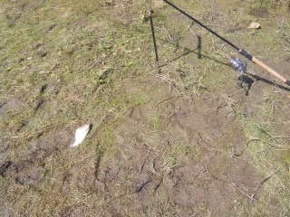IMG_20160723_111854.jpg