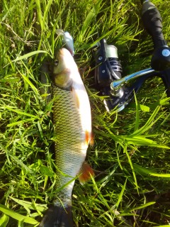IMG_20160722_185438.jpg