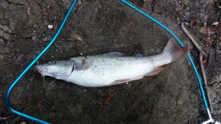 20160723_181244.jpg
