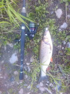 IMG_20160725_194903.jpg