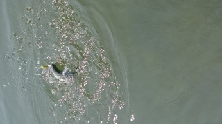 DSC_0012.JPG