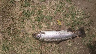 DSC_0009.JPG