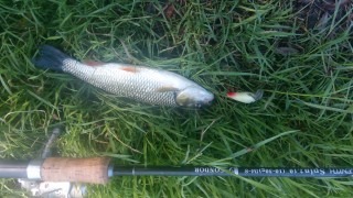 IMG_20160731_095913.jpg
